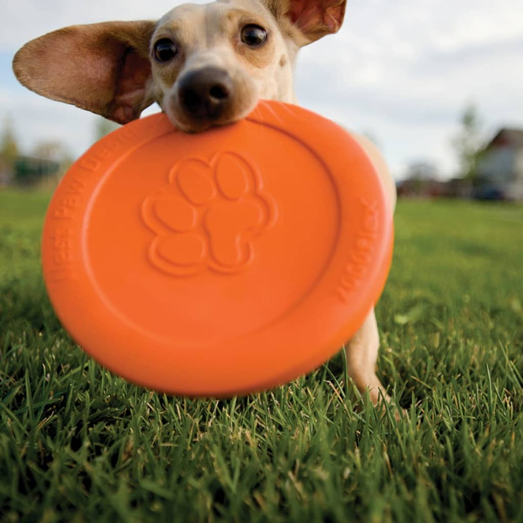 Zogoflex hundefrisbee Zisc størrelse L orange 1937