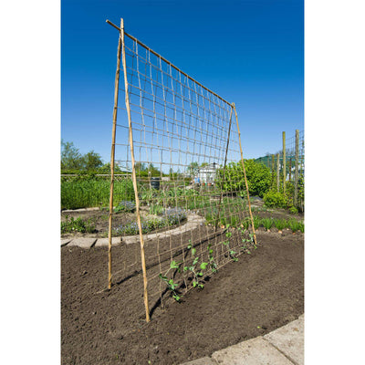 Nature net til klatreplanter 1,8x5 m naturfarvet