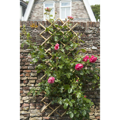 Nature haveespalier 45x180 cm bambus 6040720