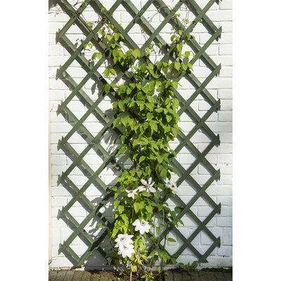 Nature haveespalier 50x150 cm træ grøn