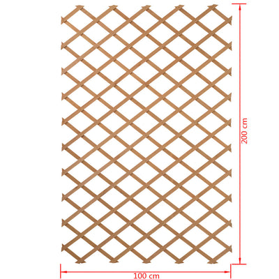 Nature haveespalier 100x200 cm træ 6041703