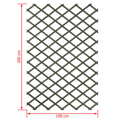 Nature haveespalier 100x200 cm træ grøn 6041704