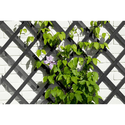 Nature espalier 50x150 cm træ antracitgrå