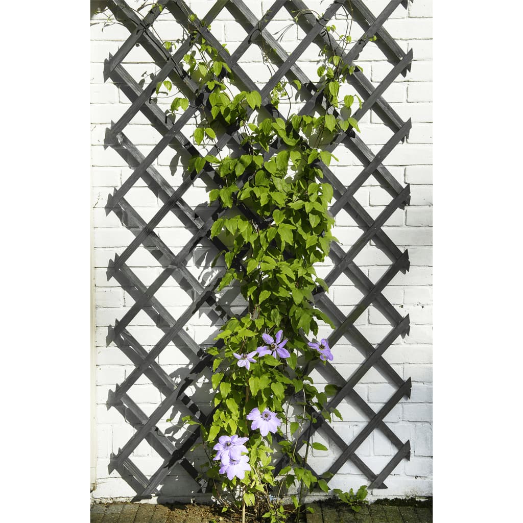 Nature espalier 50x150 cm træ antracitgrå