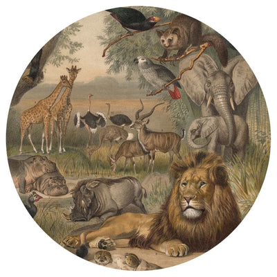 WallArt tapetcirkel Animals of Africa 142,5 cm