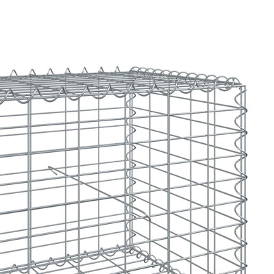 gabionkurv med cover 600x50x50 cm galvaniseret jern