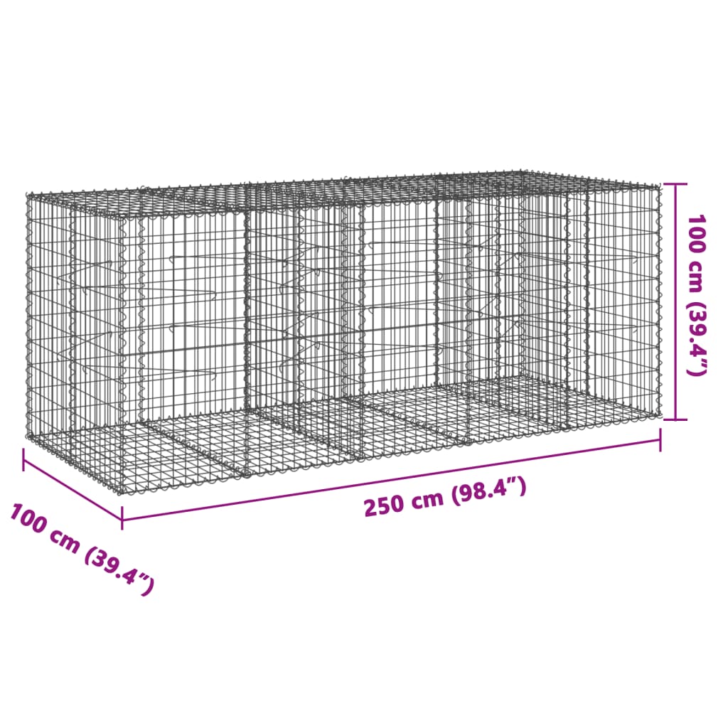 gabionkurv med cover 250x100x100 cm galvaniseret jern