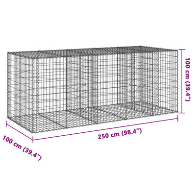 gabionkurv med cover 250x100x100 cm galvaniseret jern