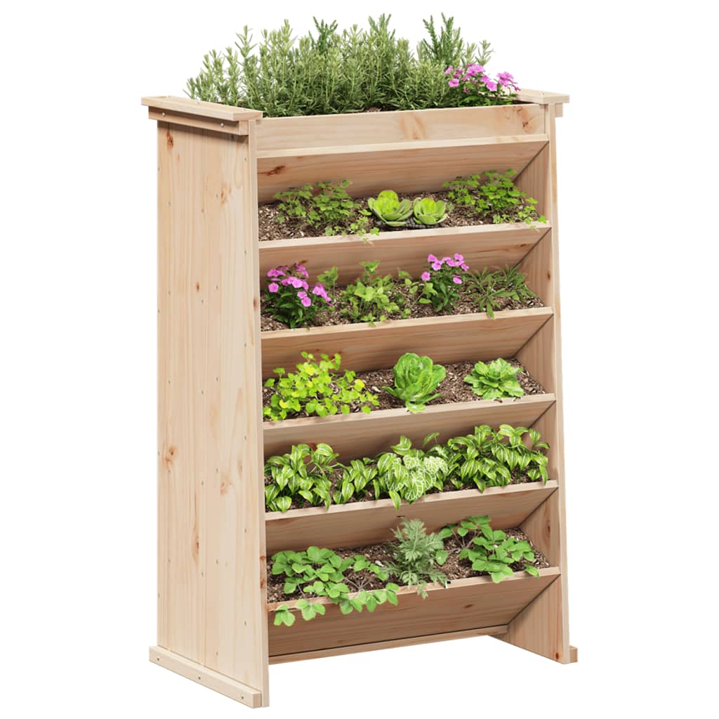 plantevæg 69x40x101,5 cm 6 niveauer massivt fyrretræ